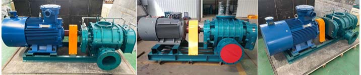 直聯(lián)傳動羅茨風(fēng)機 直聯(lián)傳動羅茨風(fēng)機