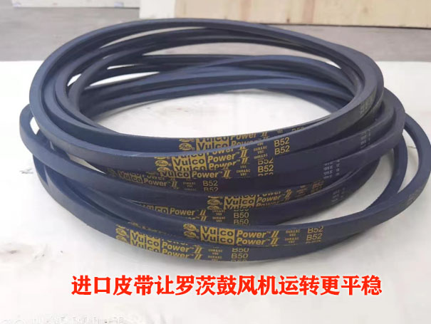 羅茨鼓風機皮帶 羅茨鼓風機皮帶