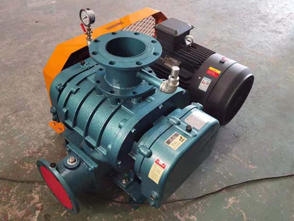 羅茨真空泵 羅茨風(fēng)機(jī)廠家發(fā)貨江西羅茨真空泵XQSSR125v5臺(tái)(圖1)